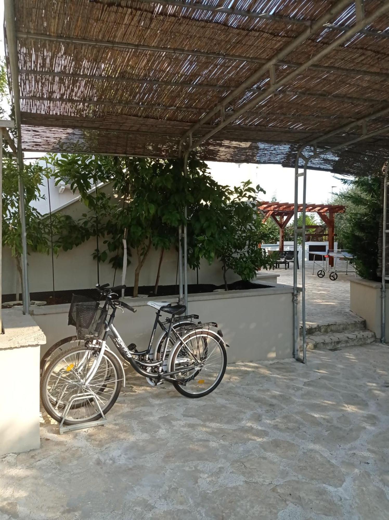 Villa Niko With Private Swimming Pool Zadar Extérieur photo